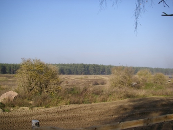 Panzerfahrschule_2011_24